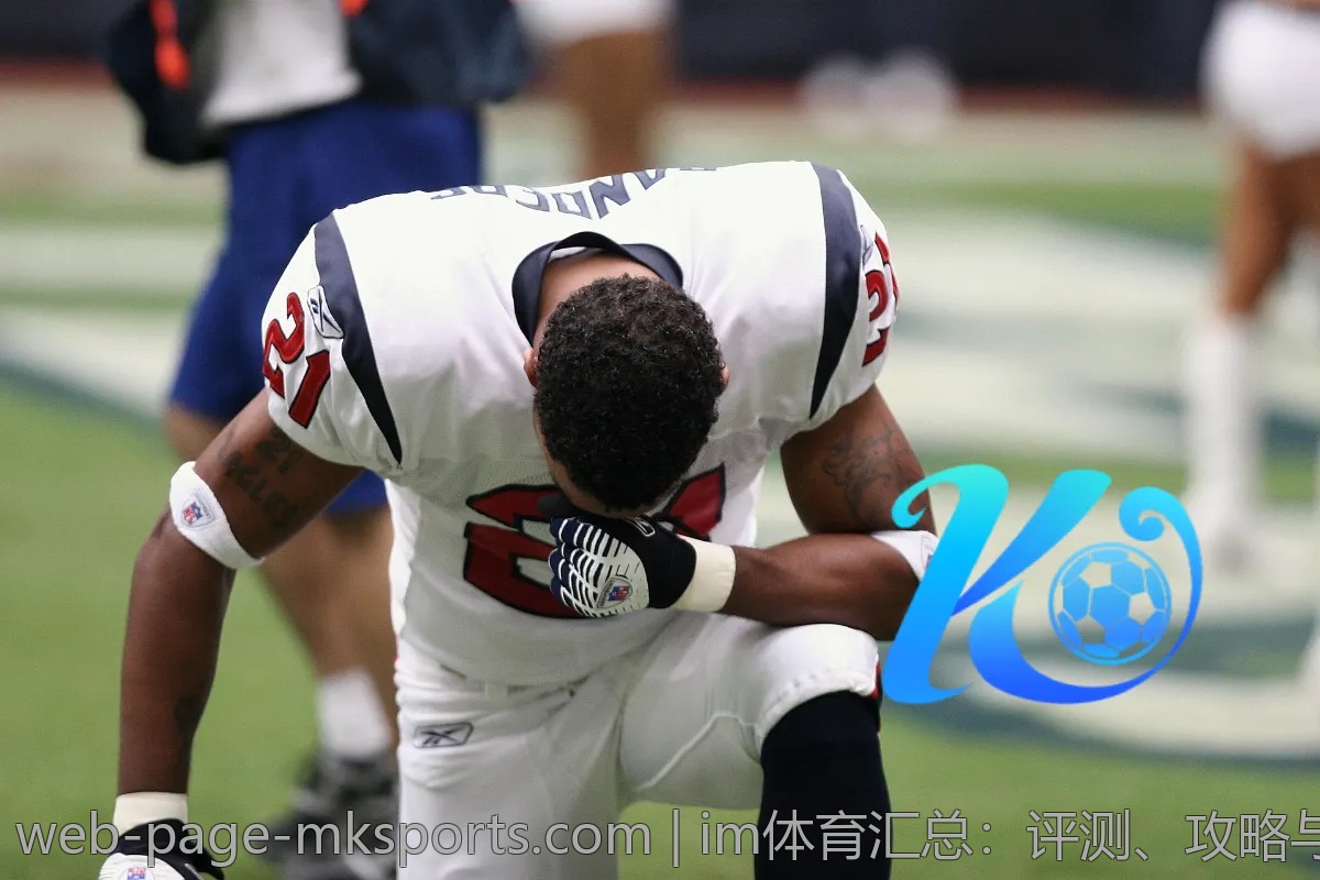 im体育汇总:评测、攻略与热点一站式获取